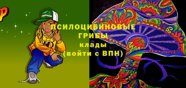 ПСИЛОЦИБИНОВЫЕ ГРИБЫ Абинск