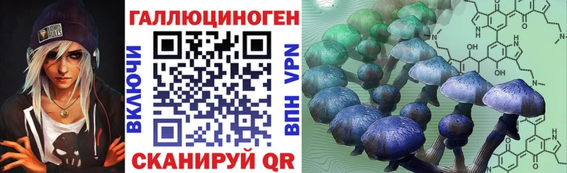 хочу наркоту  Ливны  Псилоцибиновые грибы Psilocybe 